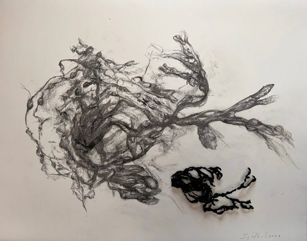 Dessin nature vivante II