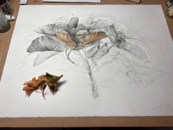 Dessin « Nature vivante » III - 2023