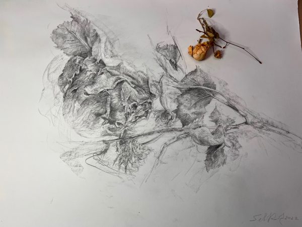 Dessin « Nature vivante » IV - 2023