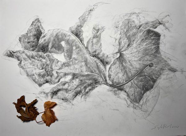 Dessin « Nature vivante » V - 2023