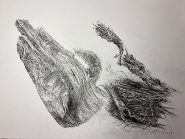 Dessin « Nature vivante » VII - 2023