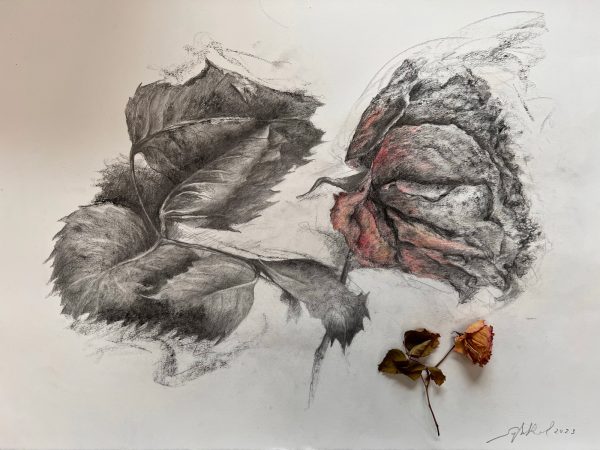 Dessin « Nature vivante » VIII - 2023