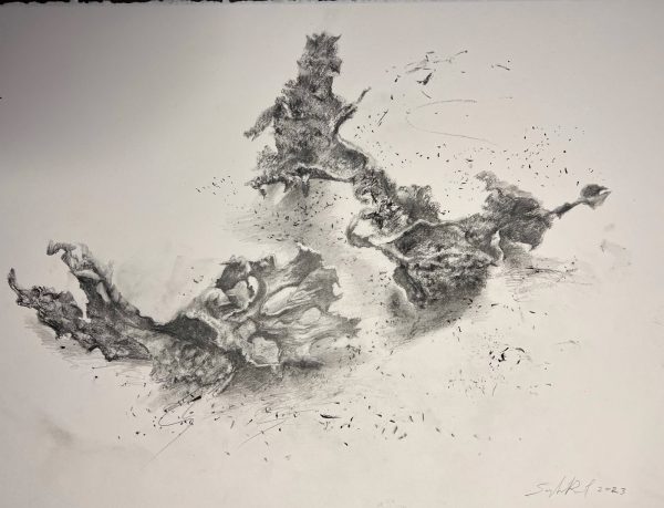 Dessin « Nature vivante » IX - 2023